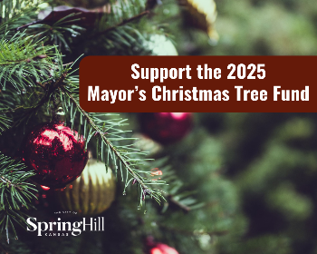 Closeup of pine needles and Christmas ornaments. Text: Support the 2025 Mayors Christmas Tree Fund